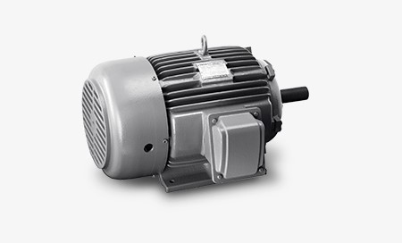 TECO Electric Motor